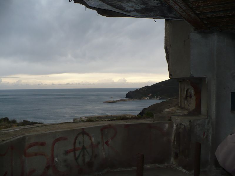 Serge 5.JPG - Serge